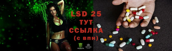 индика Заволжск
