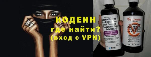 индика Заволжск