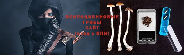 ALPHA PVP Заводоуковск