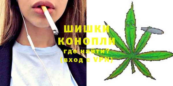индика Заволжск